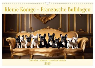 Kleine Könige - Französische Bulldoggen (Wandkalender 2026 DIN A3 quer), CALVENDO Monatskalender