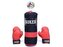 Rękawice i worek bokserski