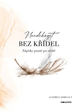 Neodcházet bez křídel