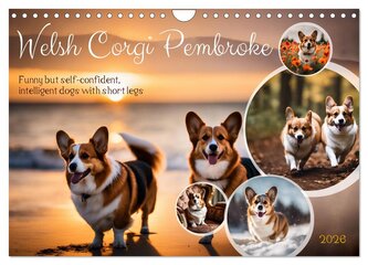 Welsh Corgi Pembroke (Wall Calendar 2026 DIN A4 landscape), CALVENDO 12 Month Wall Calendar