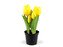 Umělé tulipány v květináči - 1 ks - 2 (21cm) žlutá