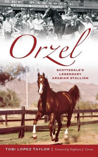 Orzel: Scottsdale's Legendary Arabian Stallion