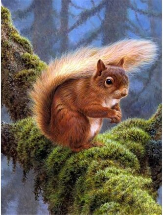 Diamantový obrázek veverka v lese  30 x 40 cm
