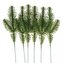 Gałązki sosny 26 cm 6szt