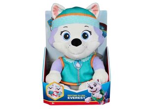 SPIN Psi Patrol pluszEverest Bedtime 6071110