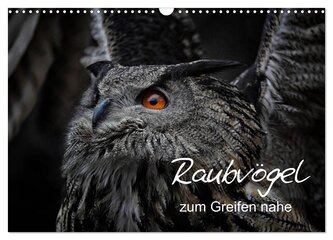 Raubvögel zum Greifen nahe (Wandkalender 2026 DIN A3 quer), CALVENDO Monatskalender
