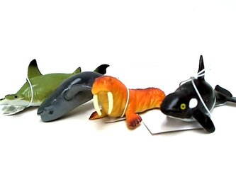 Zwierzęta morskie z groszkiem /36 HTE044 63854