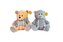 Miś w bluzie CHT04216 42165