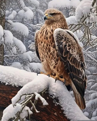 Diamantový obrázek orel v zimní krajině  30 x 40 cm