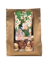 Taška - Color your garden - Peach blush (25 cibulí)