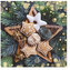 Ubrousky PAW Dekor L (20ks) Gingerbread Stars