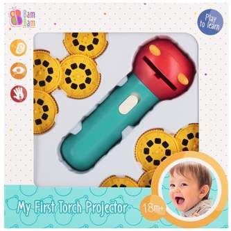 BAM BAM PROJEKTOR SCIENNY 8W1 19X19X6 WB 48