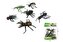 Insekty pajęczaki 10cm 6szt HHZ21 42221