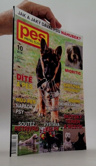 Pes přítel člověka 10/2016 Dítě a pes