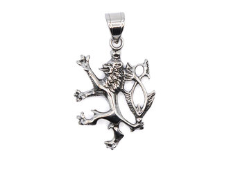 Přívěsek ČESKÝ LEV menší - chirurgická ocel