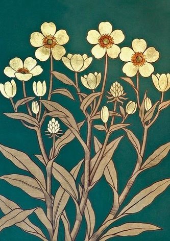 Karnet ST352 B6 + koperta Jaskier rozłogowy