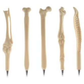 Długopis kość w displayu