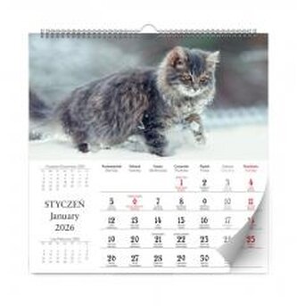 Kalendarz 2026 ścienny lux kociaki