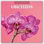 Orchids - Orchideen 2026 - 16-Monatskalender