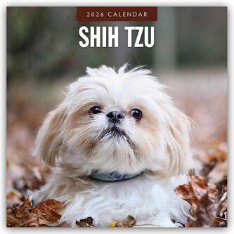 Shih Tzu 2026 - 16-Monatskalender Shih Tzu 2026 - 16-Monatskalender