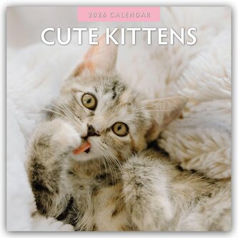 Cute Kittens - Niedliche Kätzchen 2026 - 16-Monatskalender Cute Kittens - Niedliche Kätzchen 2026 - 16-Monatskalender