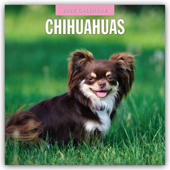 Chihuahuas - Chihuahua 2026 - 16-Monatskalender Chihuahuas - Chihuahua 2026 - 16-Monatskalender