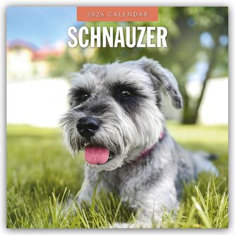 Schnauzer 2026 - 16-Monatskalender Schnauzer 2026 - 16-Monatskalender
