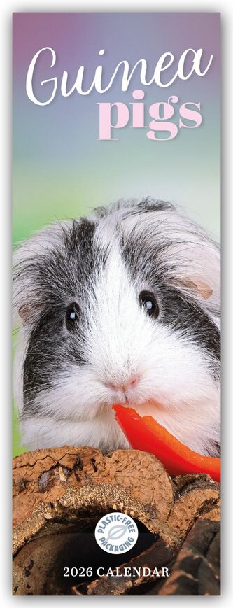 Guniea Pigs - Meerschweinchen 2026 - Slimline-Kalender Guniea Pigs - Meerschweinchen 2026 - Slimline-Kalender