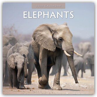 Elephants - Elefanten 2026 - 16-Monatskalender Elephants - Elefanten 2026 - 16-Monatskalender