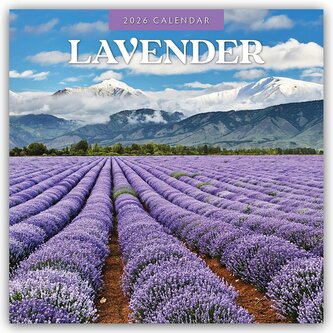 Lavender - Lavendel 2026 - 16-Monatskalender Lavender - Lavendel 2026 - 16-Monatskalender