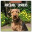 Airdale Terriers - Airdale Terrier 2026 - 16-Monatskalender