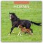 Horses - Pferde 2026 - 16-Monatskalender