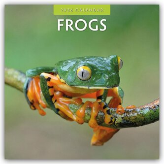 Frogs - Frosch - Frösche 2026 - 16-Monatskalender Frogs - Frosch - Frösche 2026 - 16-Monatskalender
