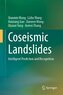 Coseismic Landslides