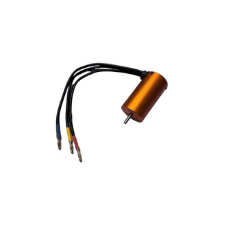 DF model Brushless motor 3665 - 3180kv pro 3189