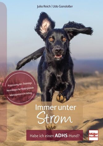Immer unter Strom Immer unter Strom