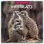 Meerkats - Erdmännchen 2026 - 16-Monatskalender