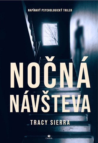 Nočná návšteva