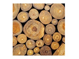 ubrousek P 33x33 celorok SDL895000 2011186