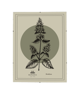 ADI Ramka 30x40cm Antyrama