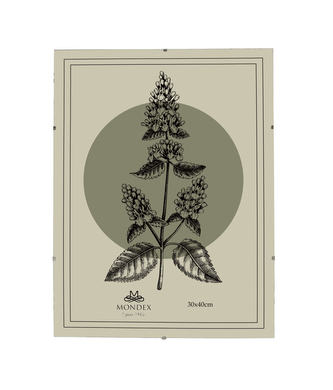 ADI Ramka 30x40cm Antyrama