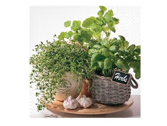 ubrousek P 33x33 celorok SDL874000 2011185