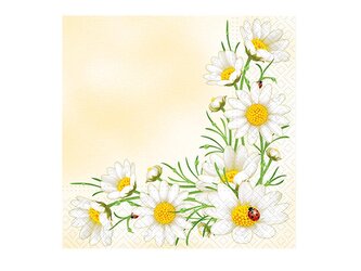 ubrousek P 33x33 celorok TL315000 2011174