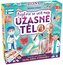 Hra Pojďme se učit: Naše úžasné tělo