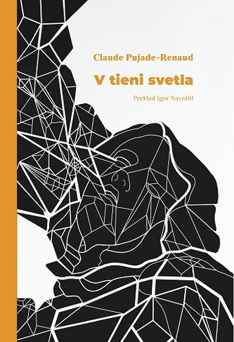 V tieni svetla V tieni svetla