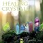 Healing Crystals - Heilsteine - Heilkristalle 2026 - Original Flame Tree Publishing-Kalender [Kalender]