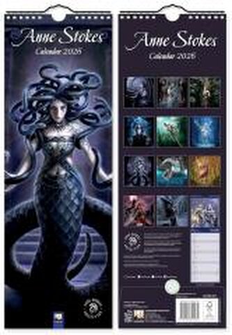 Anne Stokes - Slimline-Kalender 2026 - Original Flame Tree Publishing-Kalender Slimeline [Kalender]