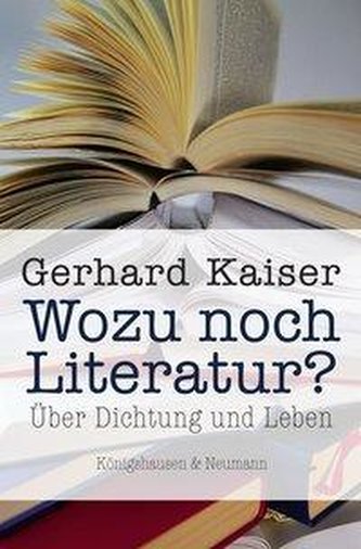 Wozu noch Literatur?