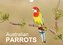 Australian Parrots (Wall Calendar 2021 DIN A4 Landscape)