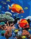 Malowanie po numerach - Jaskrawa rafa 40x50cm